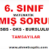 6. SINIF TAMSAYILAR ÇIKMIŞ SORULAR