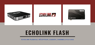 Echolink Flash