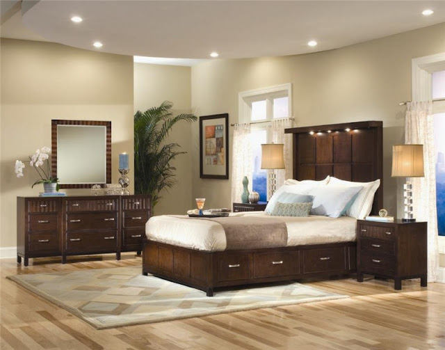 Master Bedroom Paint Ideas Pictures