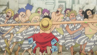 ワンピースアニメ ワノ国編 麦わらのルフィ | ONE PIECE Monkey D. Luffy | Hello Anime !