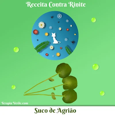 Receita Contra Rinite: Suco de Agrião