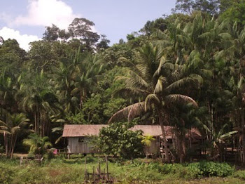 Casa em Serra do Navio