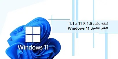 How to enableWindows،11’s TLS 1.0 and 1.1،How to،enable Windows 11’s TLS 1.0 and 1.1،How to enable Windows 11’s TLS 1.0 and 1.1،كيفية استخدام،WINDOWS،كيفية تمكين TLS 1.0 و1.1 لنظام التشغيل Windows 11،كيفية تمكين TLS 1.0 و1.1،نظام التشغيل Windows 11،،How to enable Windows 11’s TLS 1.0 and 1.1،