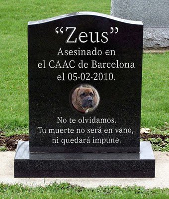 Zeus, asesinado en el CAAC.