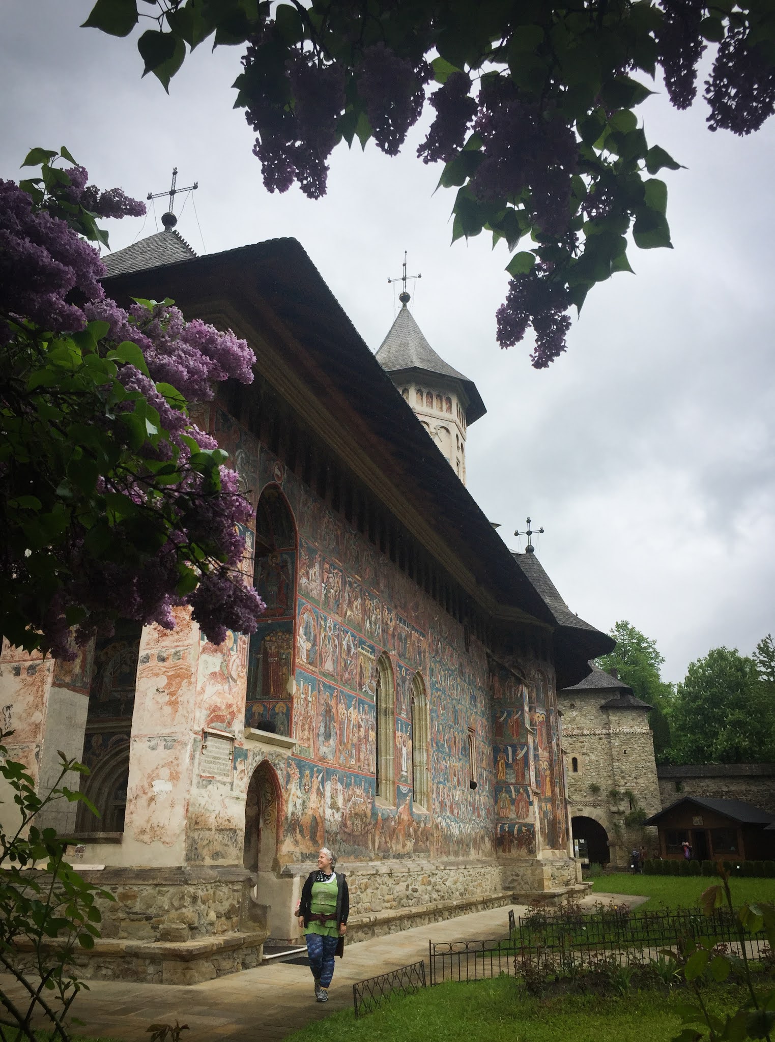 Lilacs and Moldovita Monastery, Bucovina, Romania