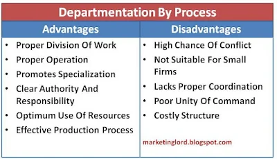 advantages-disadvantages-process-departmentation