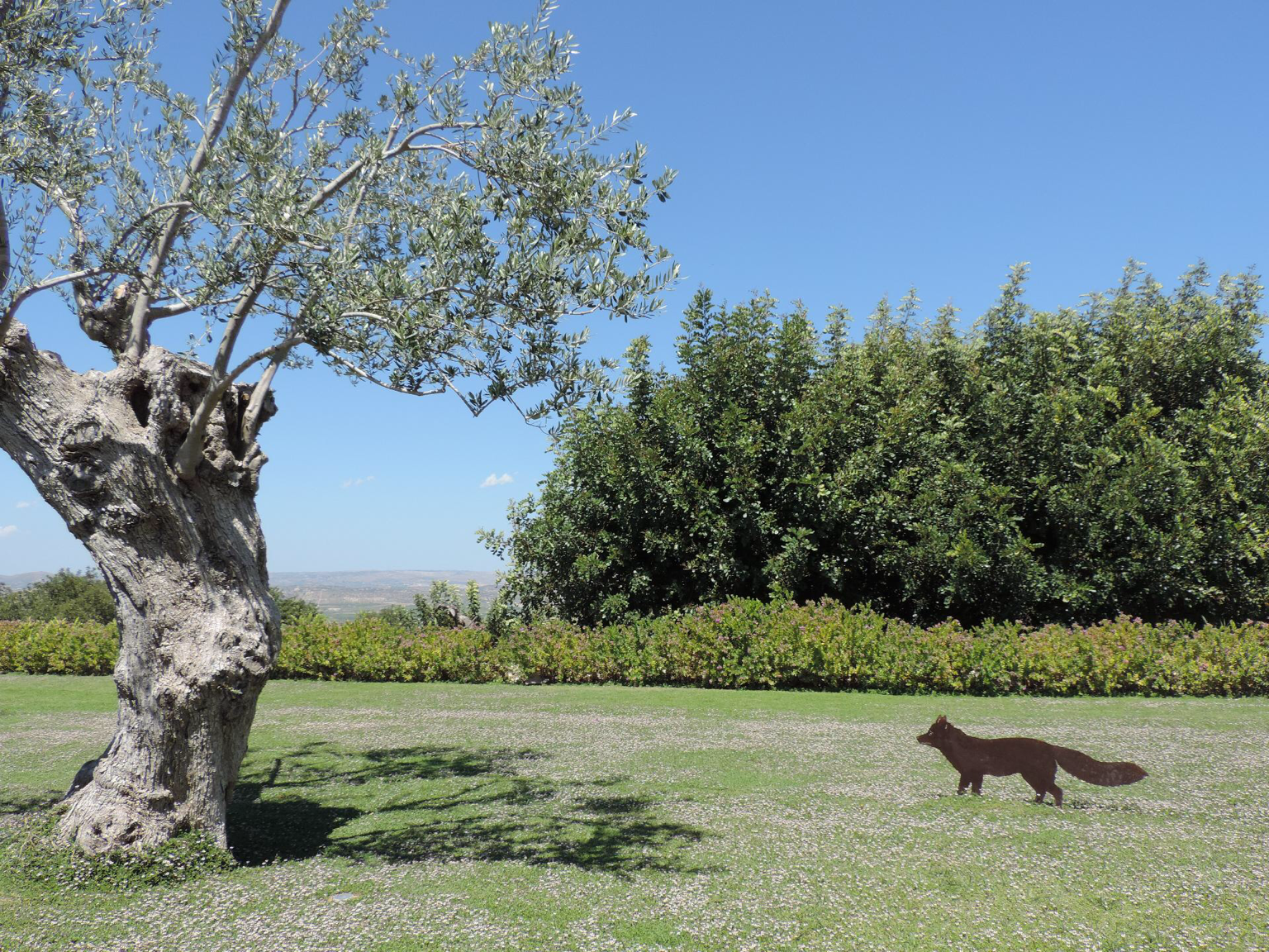 Masseria della Volpe