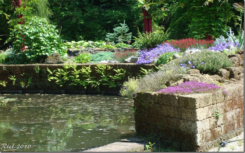 arboretum 203