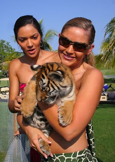 Tiger Cub Picture