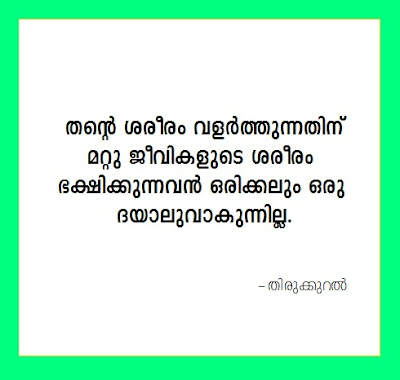 Malayalam Thiruvalluvar's Thriukkural Quote from Quotsagram on being kind to animals, causing no harm to animals and about loving animals: those who eat animals to build his body is in no way a compassionate human being