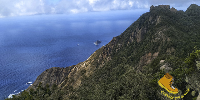 Vista desde el Mirador Cabezo del Tejo del Roque Adermo y el islote de Roques de Anaga