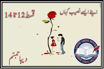 Free online reading Apny aisy naseeb kahan by Deeba Tabassum Episode 12 to 14