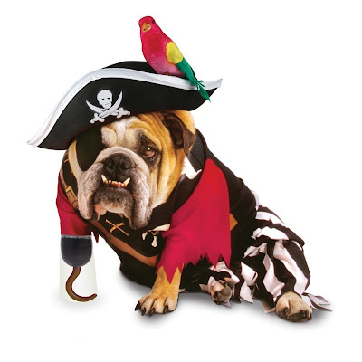 Funny Halloween costumes for dogs