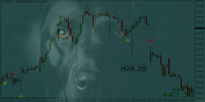 Black Dog Forex System Review
