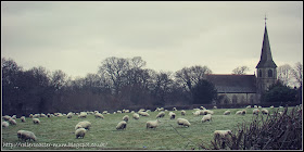 The church and the flock on a frosty morning