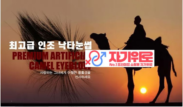 이미지