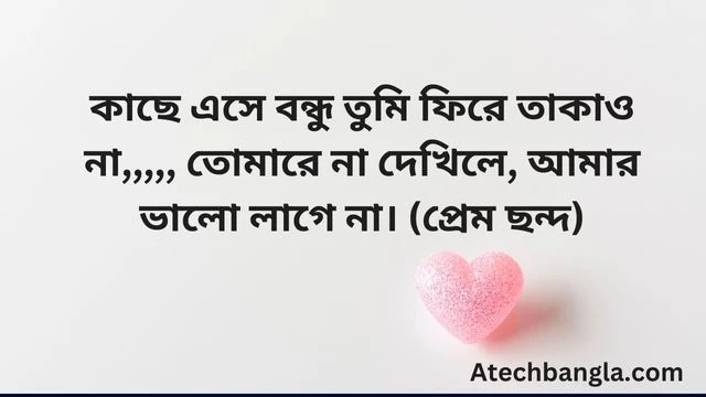 মেয়ে পটানোর মিষ্টি কথা