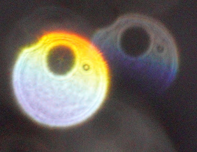 yellow orb with ring