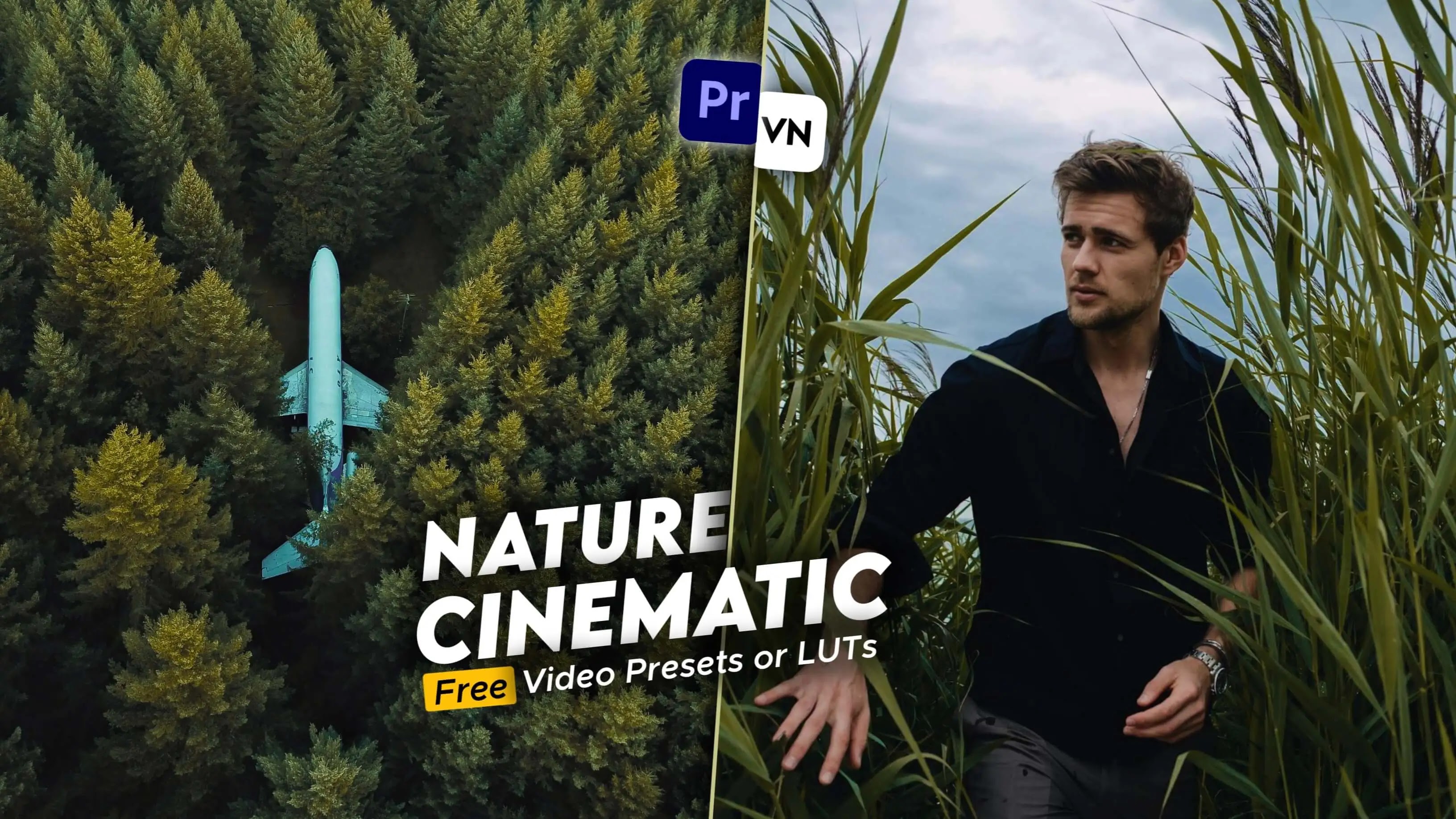 Nature Cinematic LUT Free Download, FREE Nature Cinematic Video Filters, Free Video LUTs, Free LUTs, Nature Video LUT, Cinematic Nature Video Free LUT, Free Video Filters, Amman Video LUT, Aman Free Video LUT, Amman Free Video Presets