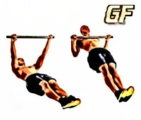 latihan otot punggung inverted row