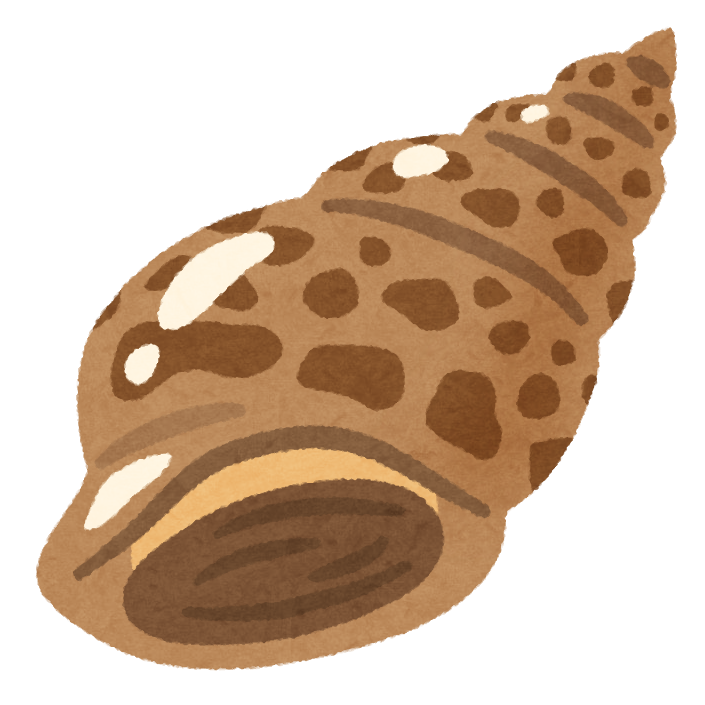 バイ貝のイラスト かわいいフリー素材集 いらすとや バイ貝のイラスト かわいいフリー素材集 いらすとや