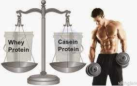 Casein Powder and Protein Powder 