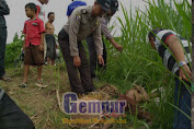 Warga Jember Temukan Mayat Nenek Di Sawah