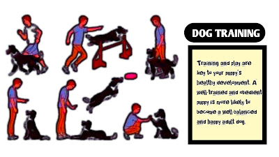 Dog Traning ,Dog Training: Obedience Training for Dogs - Pets