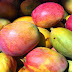 Top five Mango benefits 