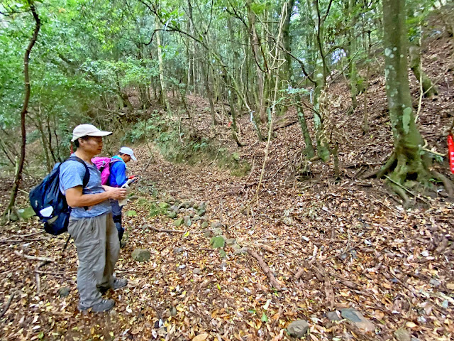 回抵林道新舊岔路