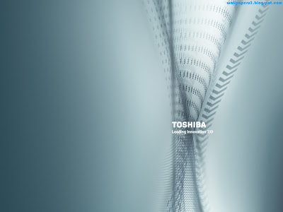 Toshiba Standard Resolution Wallpaper 3