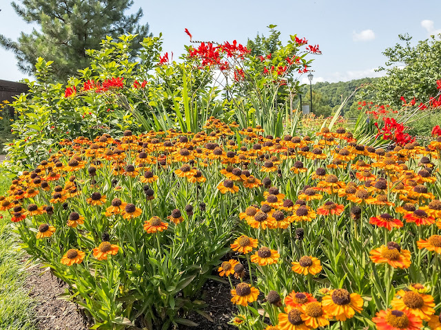 Antler Hill Village at Biltmore