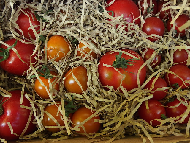Box of tasting tomatoes