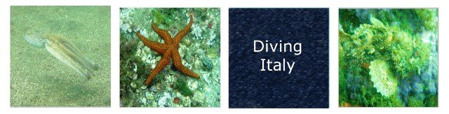 Diving Italy
