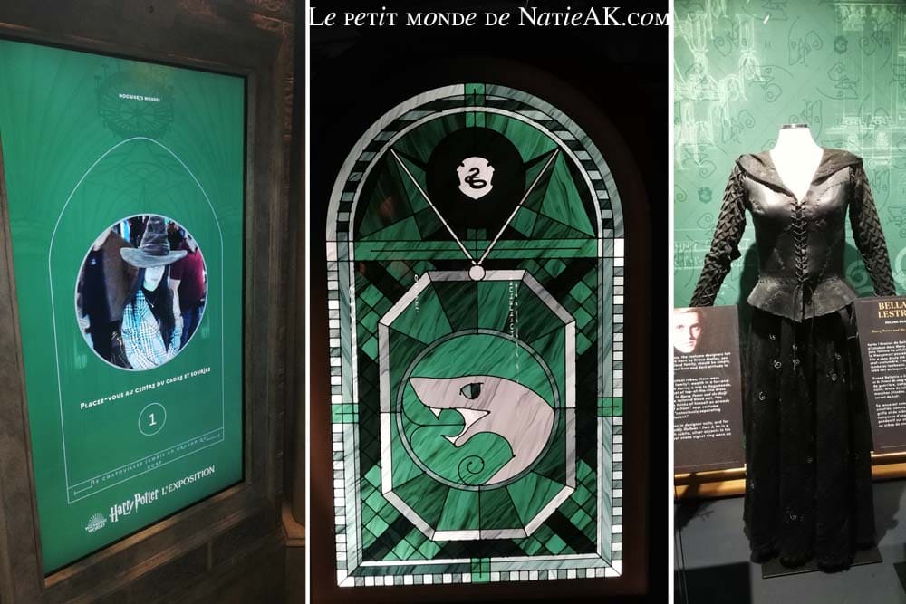 Maison Serpentard Bellatrix Lestrange ( Expo Harry Potter Paris )