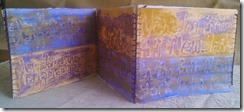 concertina 2