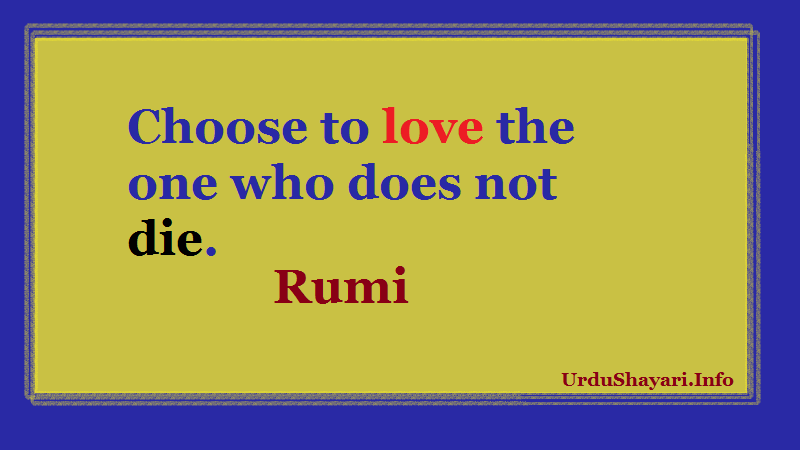 Choose to love the one who does not die rumi