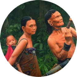 Knowing Dayak Punan  Tribes from Borneo Top Game Share