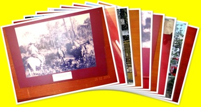 View album