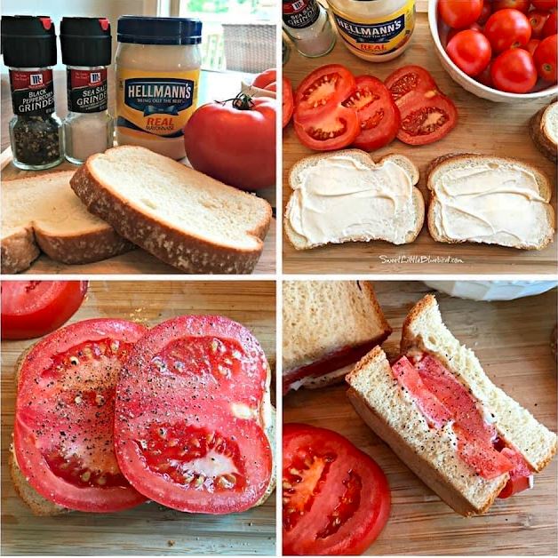 TOMATO SANDWICH