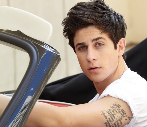 David Henrie 2011