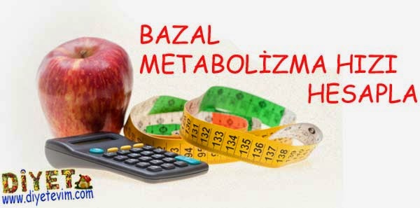 metabolizma hızı