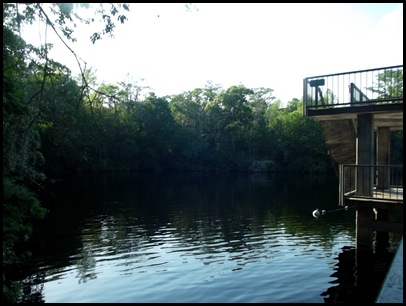 Monday at Wakulla Springs 148