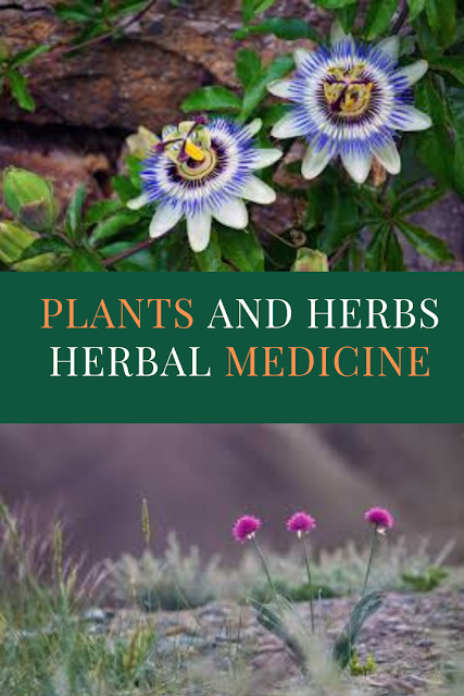 Herbal medicinal plants and children's herbs and Guidelines for General Herbal Medicines