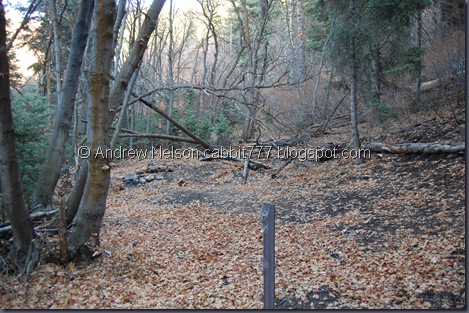 DSC_0400 DSC_0400