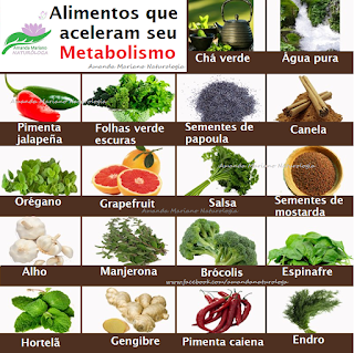 alimentos para emagrecer rapidamente, alimentos que emagrecem muito, alimentos que ajudam a emagrecer e perder barriga, alimentos para emagrecer em uma semana, quais alimentos emagrecem e aceleram o metabolismo, comida para emagrecer receitas, alimentos para perder barriga rapidamente, alimentos para perder barriga em uma semana, alimentos para perder barriga e cintura