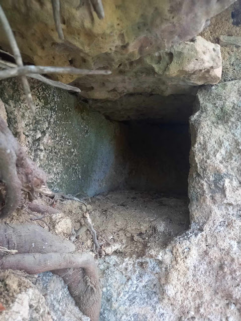 Ανακαλύφθηκε κιβωτιόσχημος τάφος στους Κάτω Αμπελόκηπους στην Πυλία