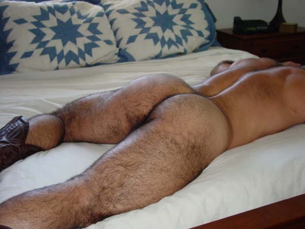 hairy,  ass,  in bed, bear