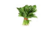 Puisi Memasak Sayur Bayam - A.
