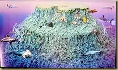 Habil Gafar Dive Plan